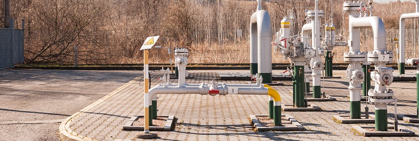 有什么簡(jiǎn)便的方法檢測(cè)口腔細(xì)菌 ?有關(guān)菌落總數(shù)檢測(cè)問(wèn)題都在這里~?健明迪