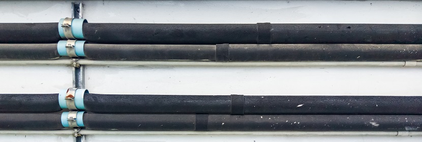 新冠抗體是什么 陽康后為什么要檢測抗體 ?現代醫學是如何檢測病毒的 