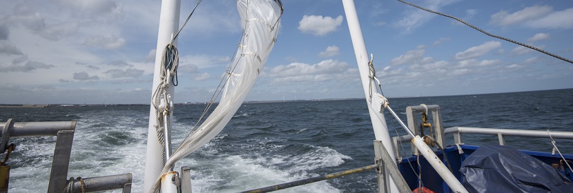 食品接觸材料檢測包含哪些項目 