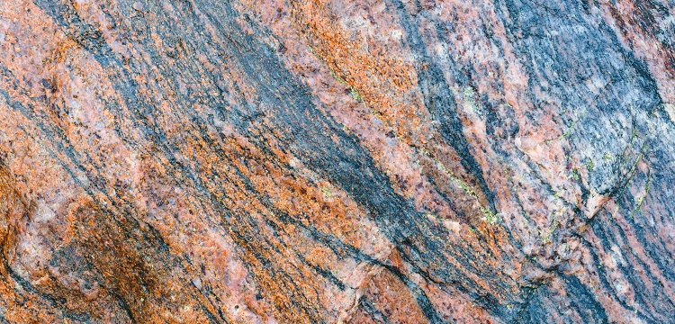 2022年廣東省最新林業碳匯申報要求匯總：方法學、申報模板、材料清單