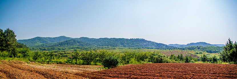 耕地質(zhì)量評價
