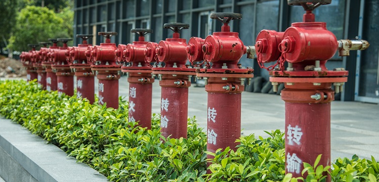 壓縮形變?cè)囼?yàn)