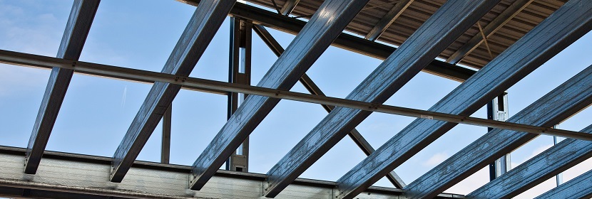 乳腺癌細胞4T1紅色熒光記小鼠模型