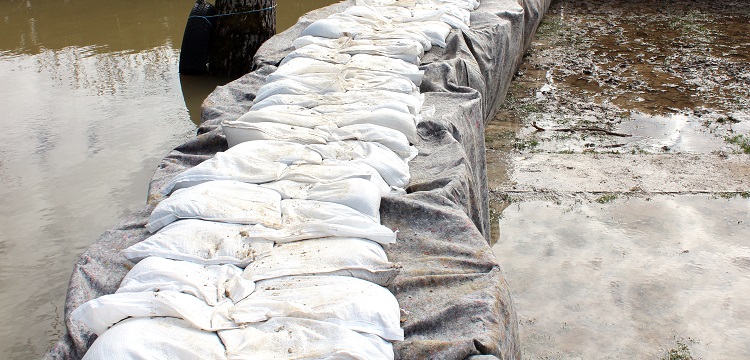 物質(zhì)提純實驗