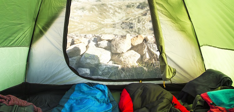 三白草檢測(cè)