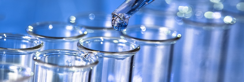 聚二甲基硅氧烷檢測(cè)