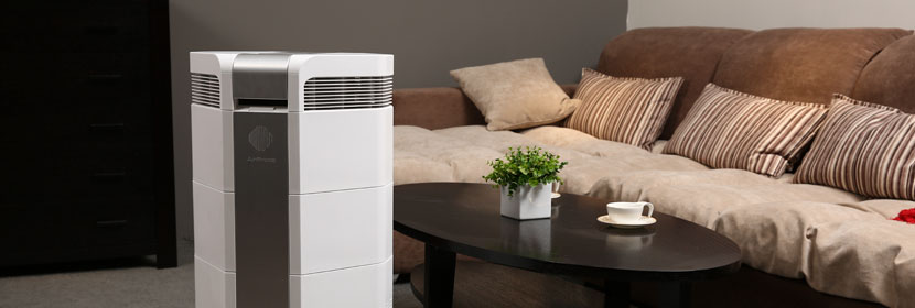 過氧化苯甲酸叔丁酯檢測(cè)