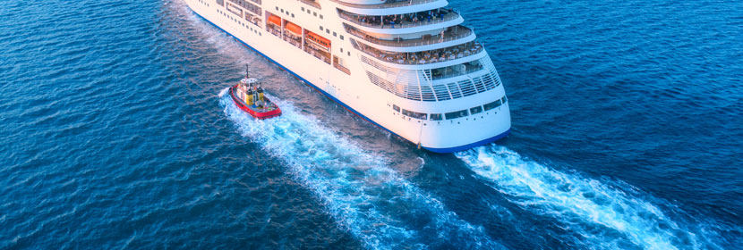 吡啶甲酸檢測(cè)