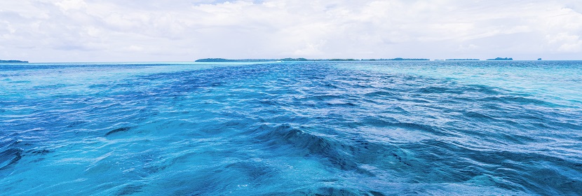 生物聚酯連卷袋檢測