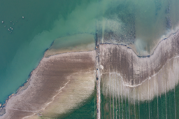 金屬剪切力檢測