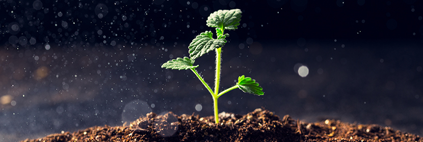 鋁粉塵檢測(cè)