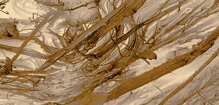 氧化誘導(dǎo)時(shí)間檢測(cè)