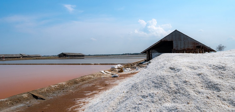 苯肼鹽酸鹽檢測