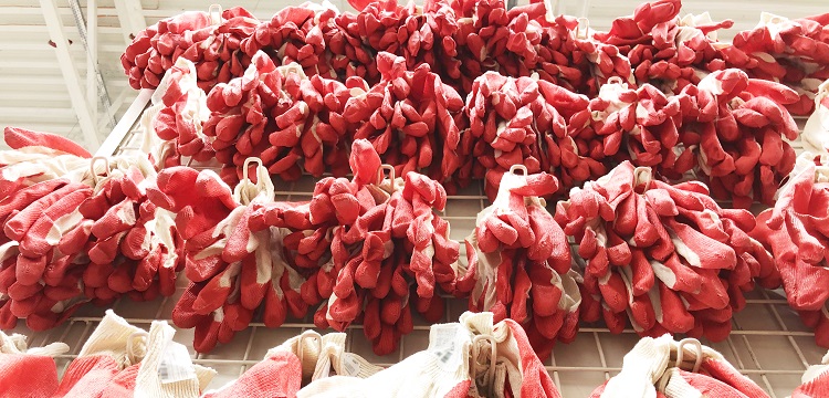 焦磷酸鐵檢測(cè)