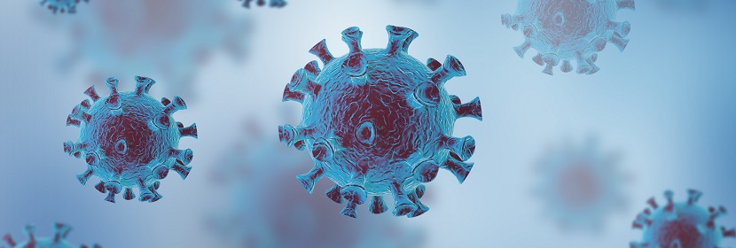 核酸酶檢測(cè)