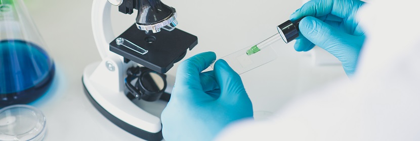 碳元素檢測(cè)