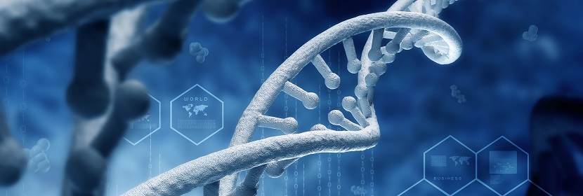 細(xì)胞染色體畸變試驗(yàn)