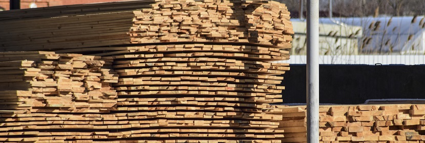 纖溶酶檢測(cè)