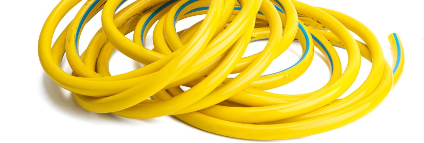 超氧化歧化酶檢測(cè)