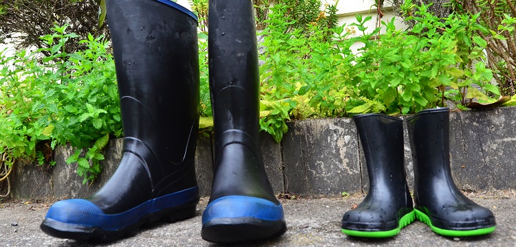 蠟樣芽胞桿菌檢測(cè)