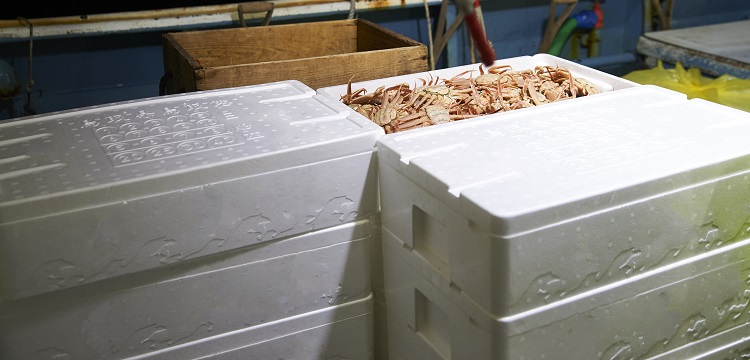 穩(wěn)轉(zhuǎn)細(xì)胞系構(gòu)建服務(wù)