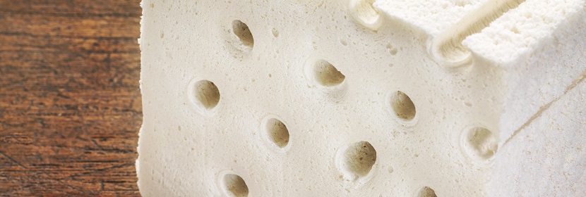 先天免疫缺陷基因敲除斑馬魚(yú)模型