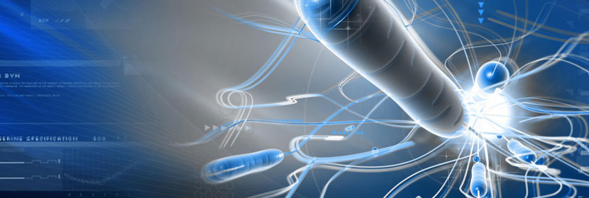 細菌內毒素測試