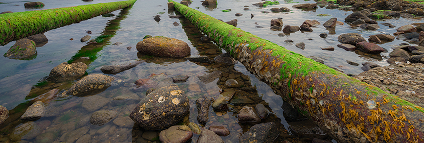 黑臭水體檢測(cè)