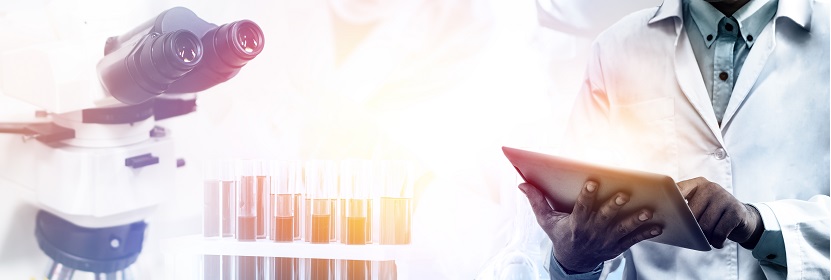 熱熔類二聚酸型聚酰胺膠粘劑檢測(cè)