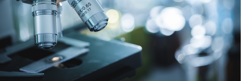 食品包裝用紙與塑料復合膜、袋檢測