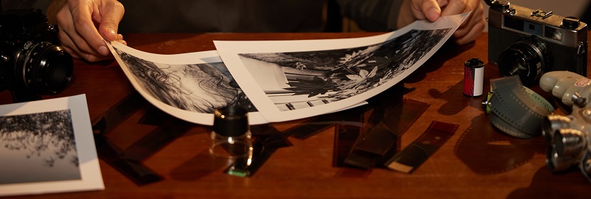 攝影 加工用化學(xué)品 對苯二酚檢測